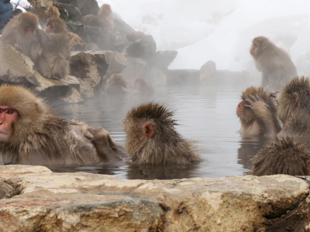 Maruka Ryokan Яманути Экстерьер фото